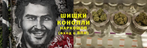 твердый Аркадак