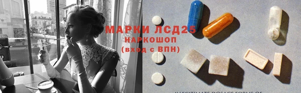 твердый Аркадак