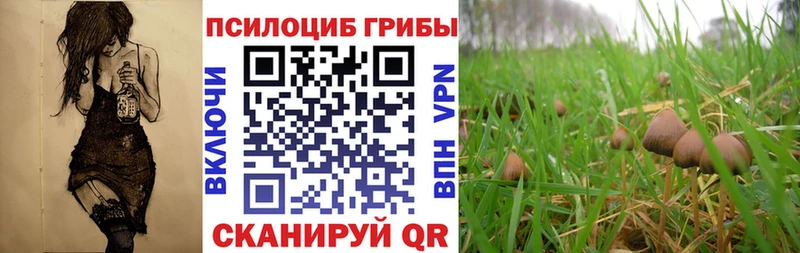 Псилоцибиновые грибы ЛСД  Малгобек 