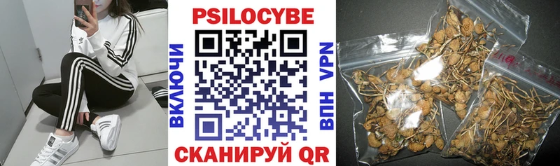 Галлюциногенные грибы Magic Shrooms Малгобек